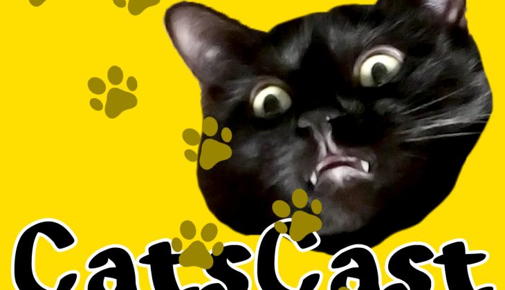 Podcast Art: CatsCast